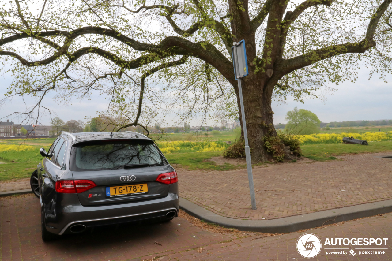 Audi RS4 Avant B8