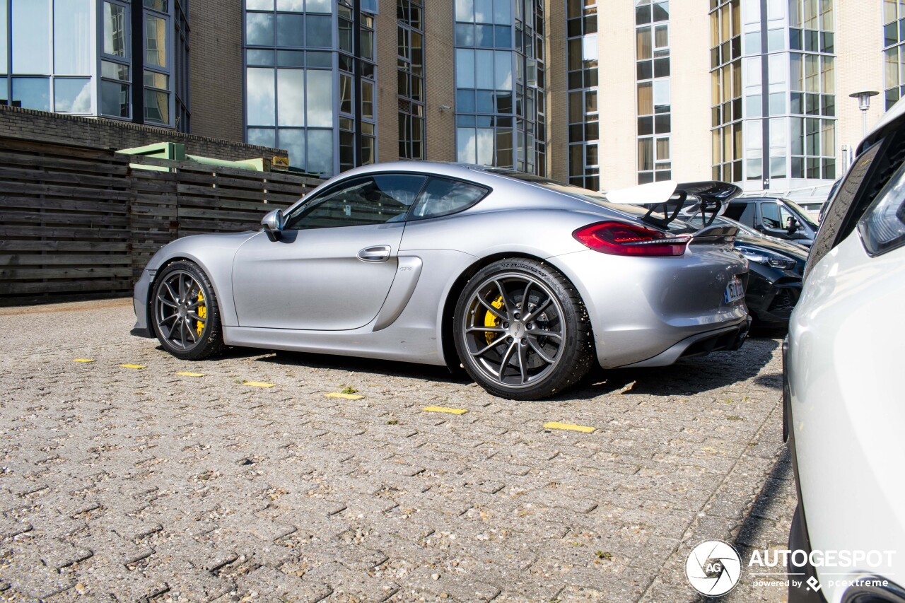 Porsche 981 Cayman GT4