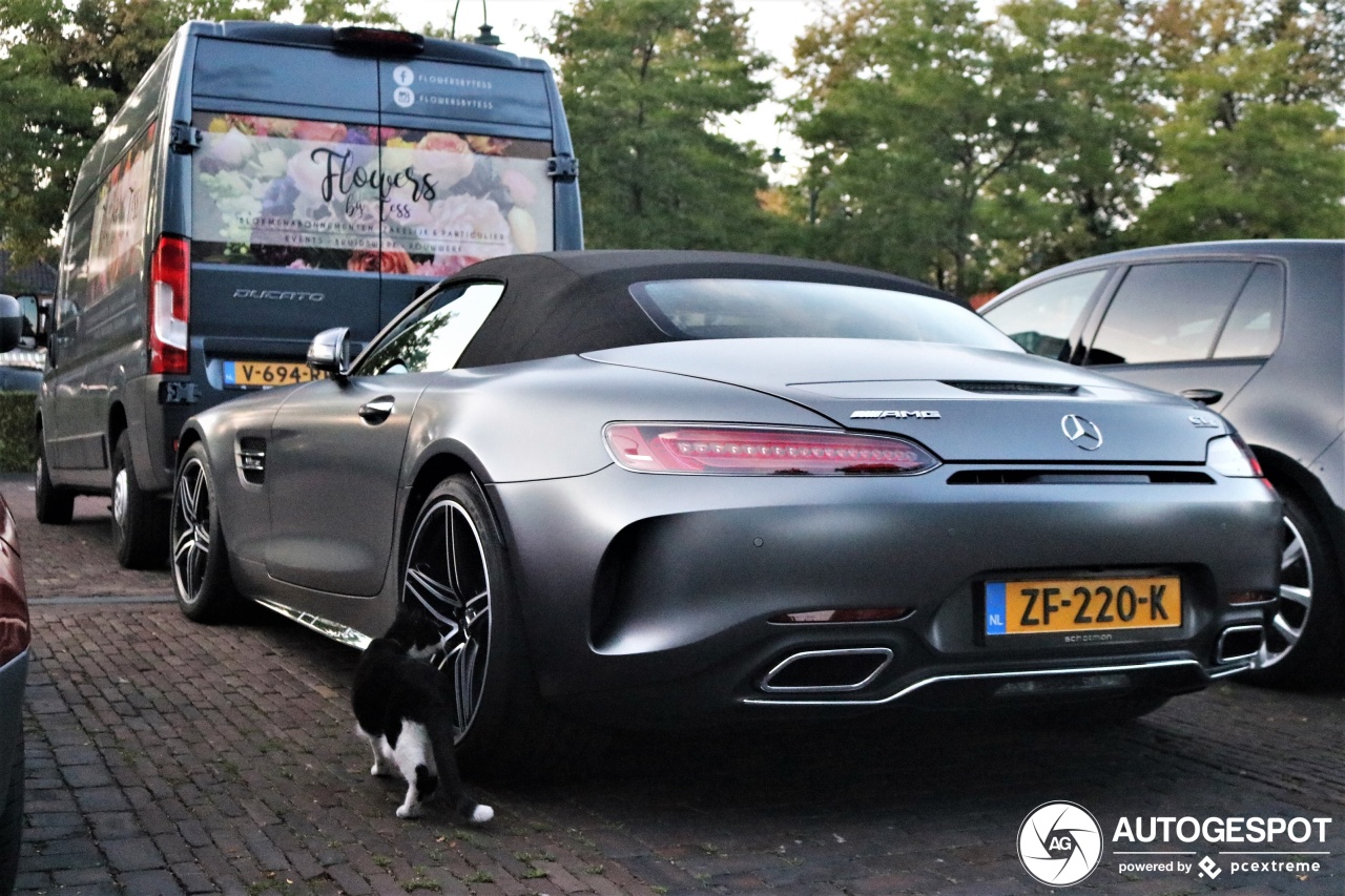 Mercedes-AMG GT C Roadster R190