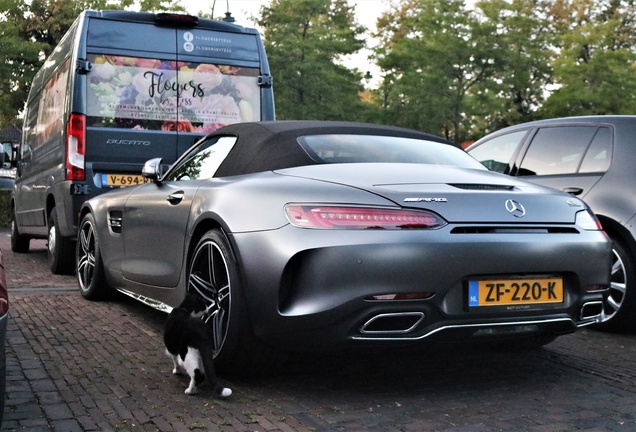 Mercedes-AMG GT C Roadster R190