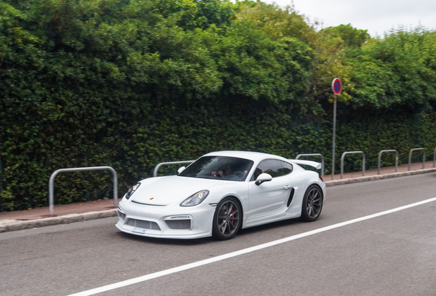 Porsche 981 Cayman GT4