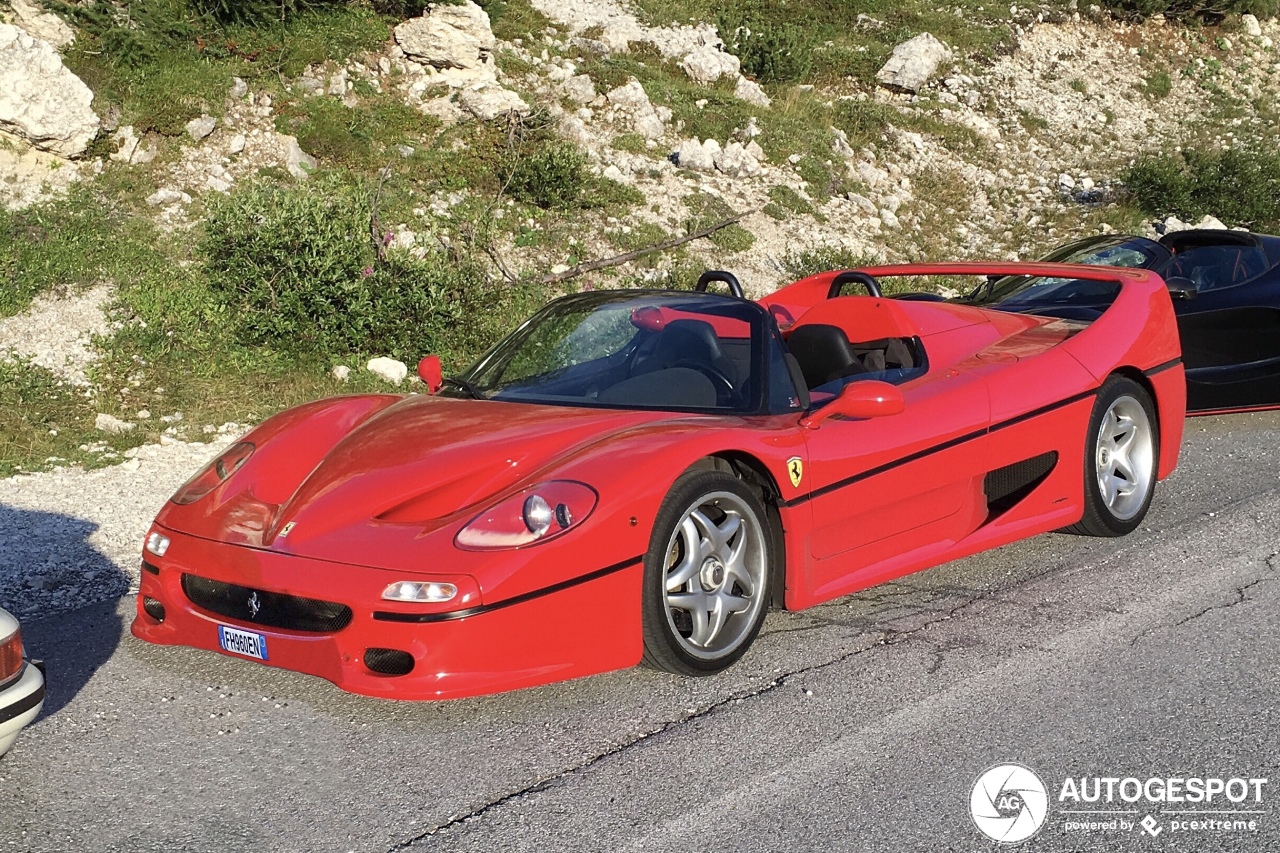 Ferrari F50