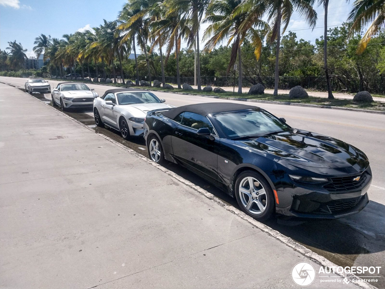 Ford Mustang GT Convertible 2018