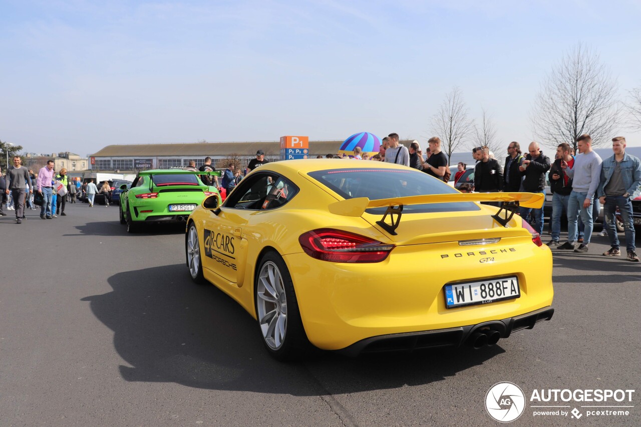 Porsche 981 Cayman GT4