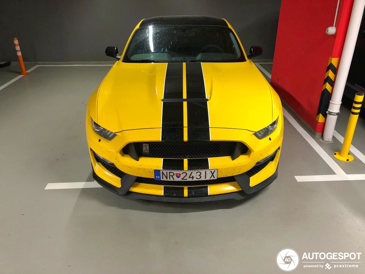 Ford Mustang Shelby GT350 2015