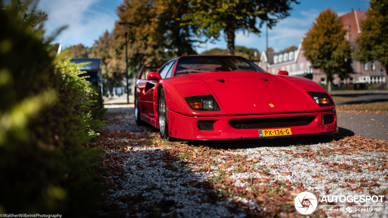 Ferrari F40