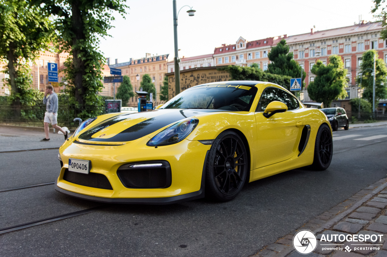 Porsche 981 Cayman GT4