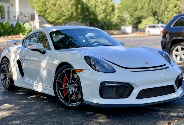 Porsche 981 Cayman GT4