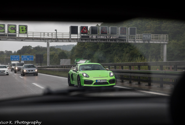 Porsche 981 Cayman GT4