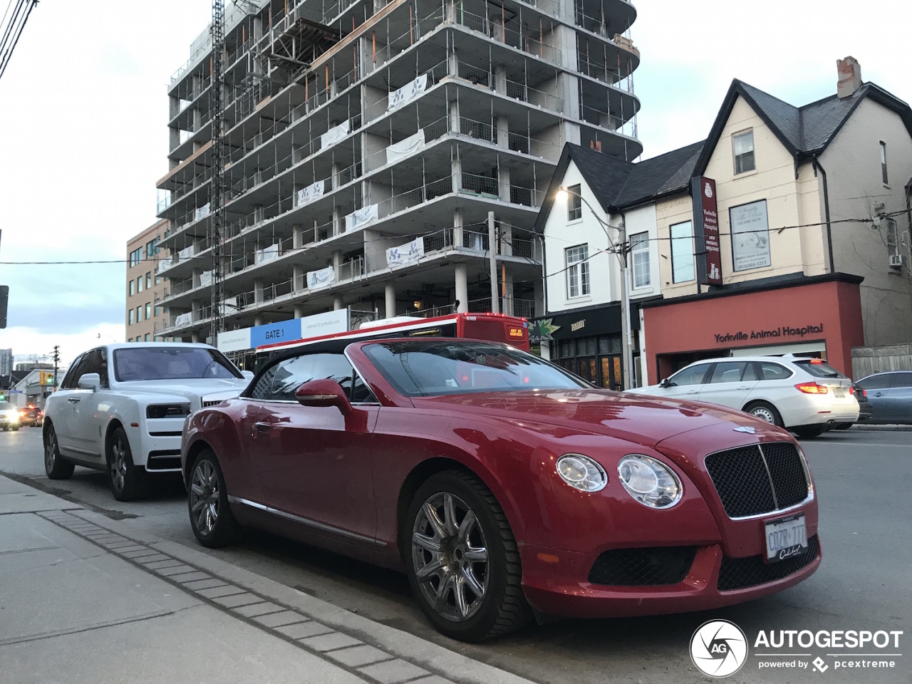 Bentley Continental GTC V8