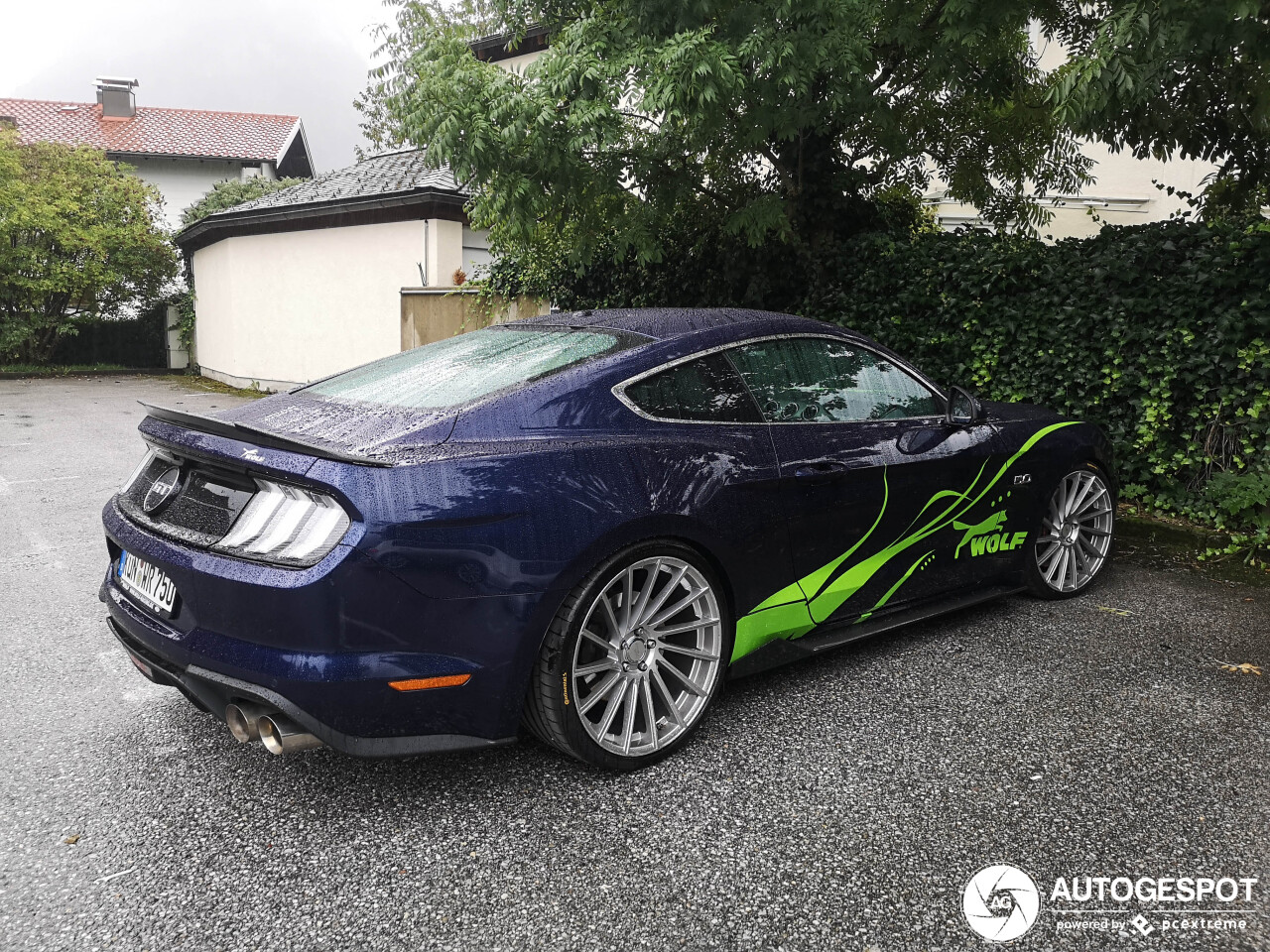 Ford Mustang GT 2018 Wolf Racing