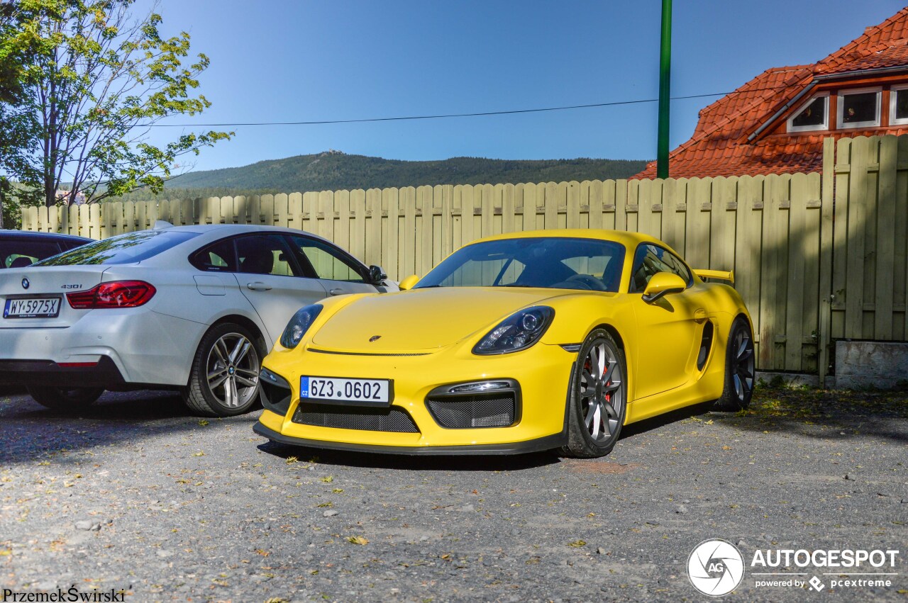 Porsche 981 Cayman GT4