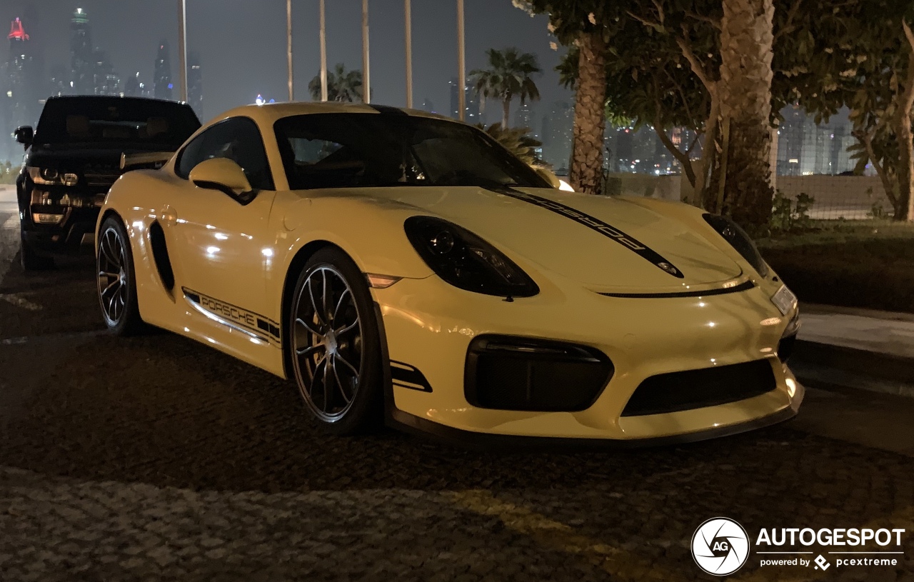 Porsche 981 Cayman GT4