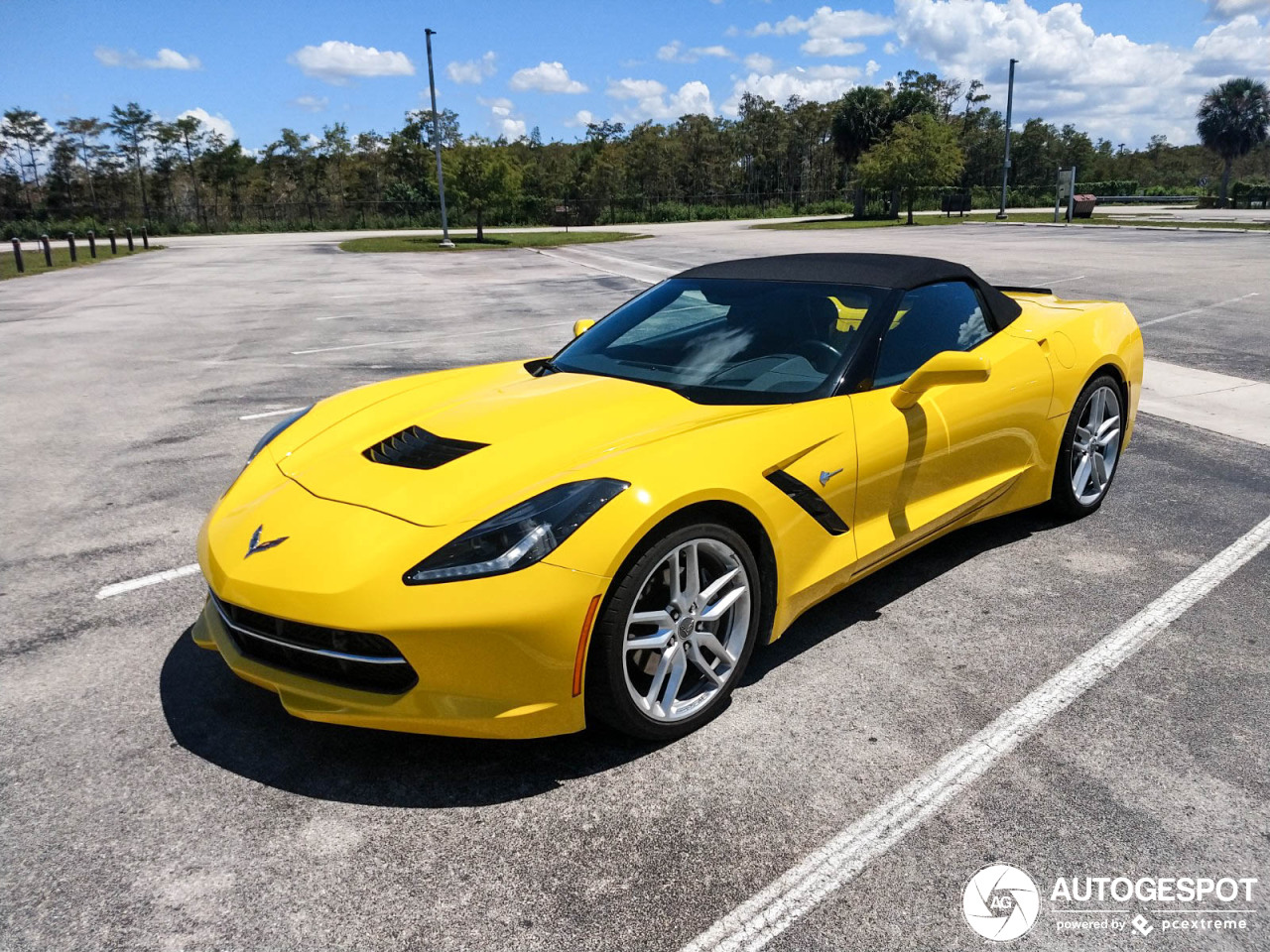 Chevrolet Corvette C7 Stingray Convertible