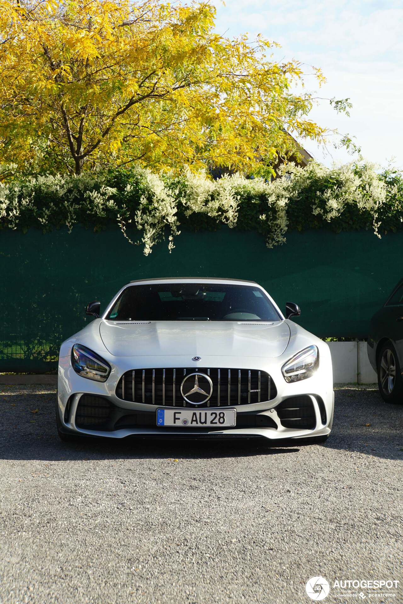 Mercedes-AMG GT R Roadster R190