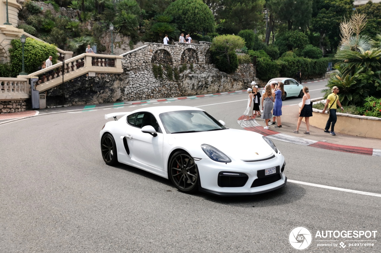 Porsche 981 Cayman GT4