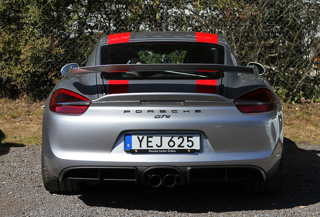 Porsche 981 Cayman GT4