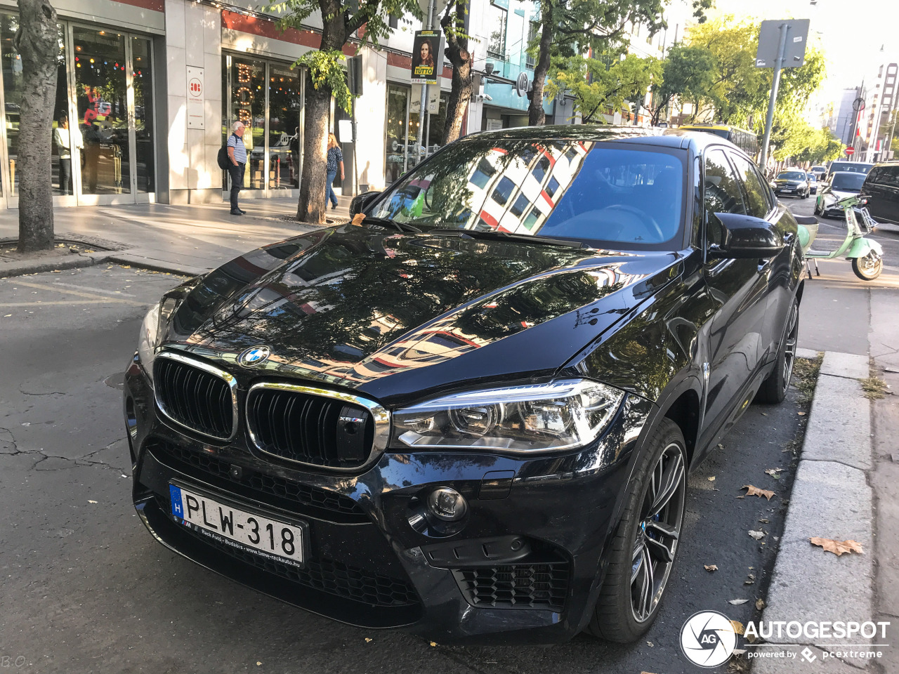 BMW X6 M F86