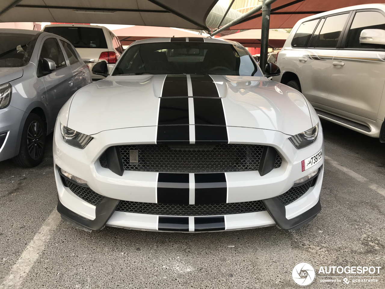 Ford Mustang Shelby GT350 2015