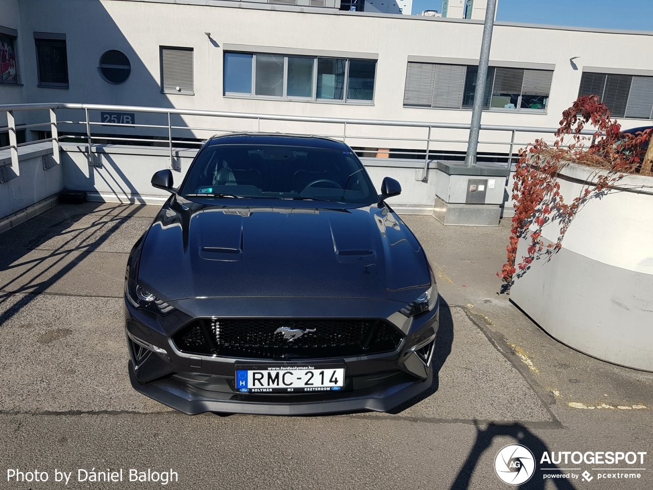 Ford Mustang GT 2018