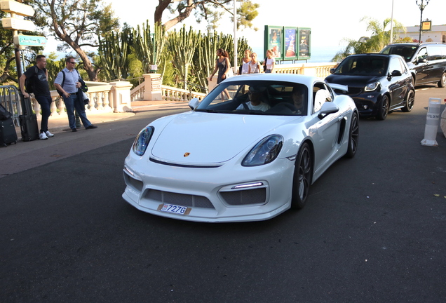 Porsche 981 Cayman GT4