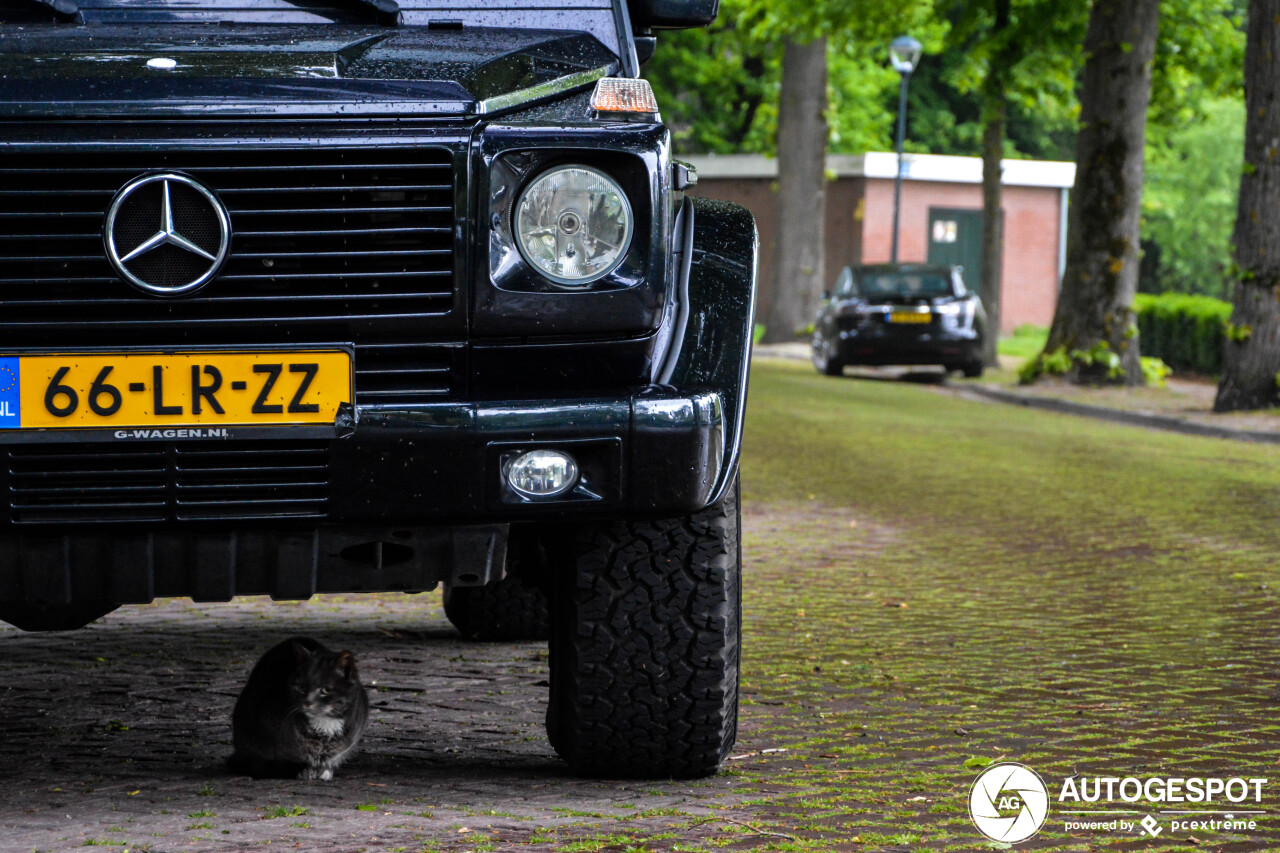 Mercedes-Benz G 55 AMG