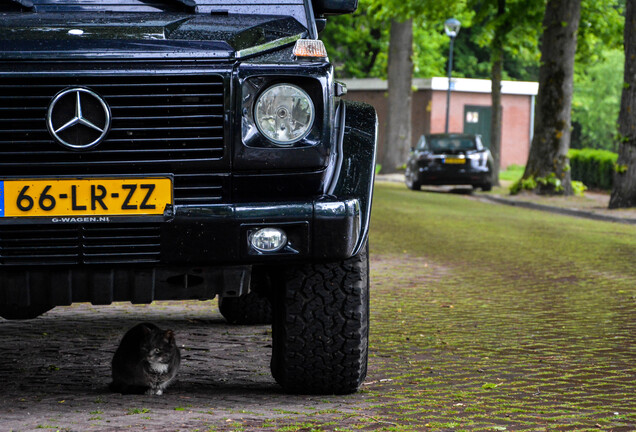 Mercedes-Benz G 55 AMG