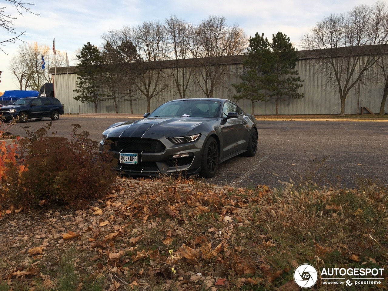 Ford Mustang Shelby GT350 2015