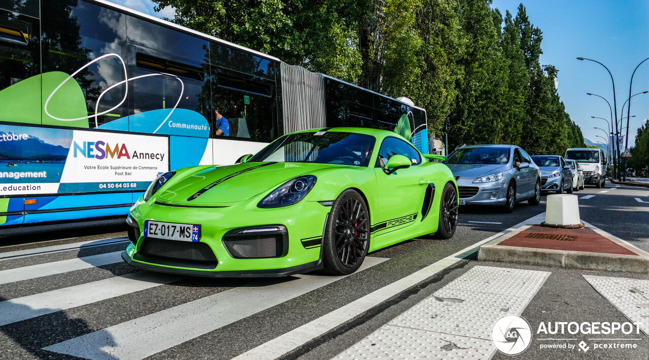 Porsche 981 Cayman GT4