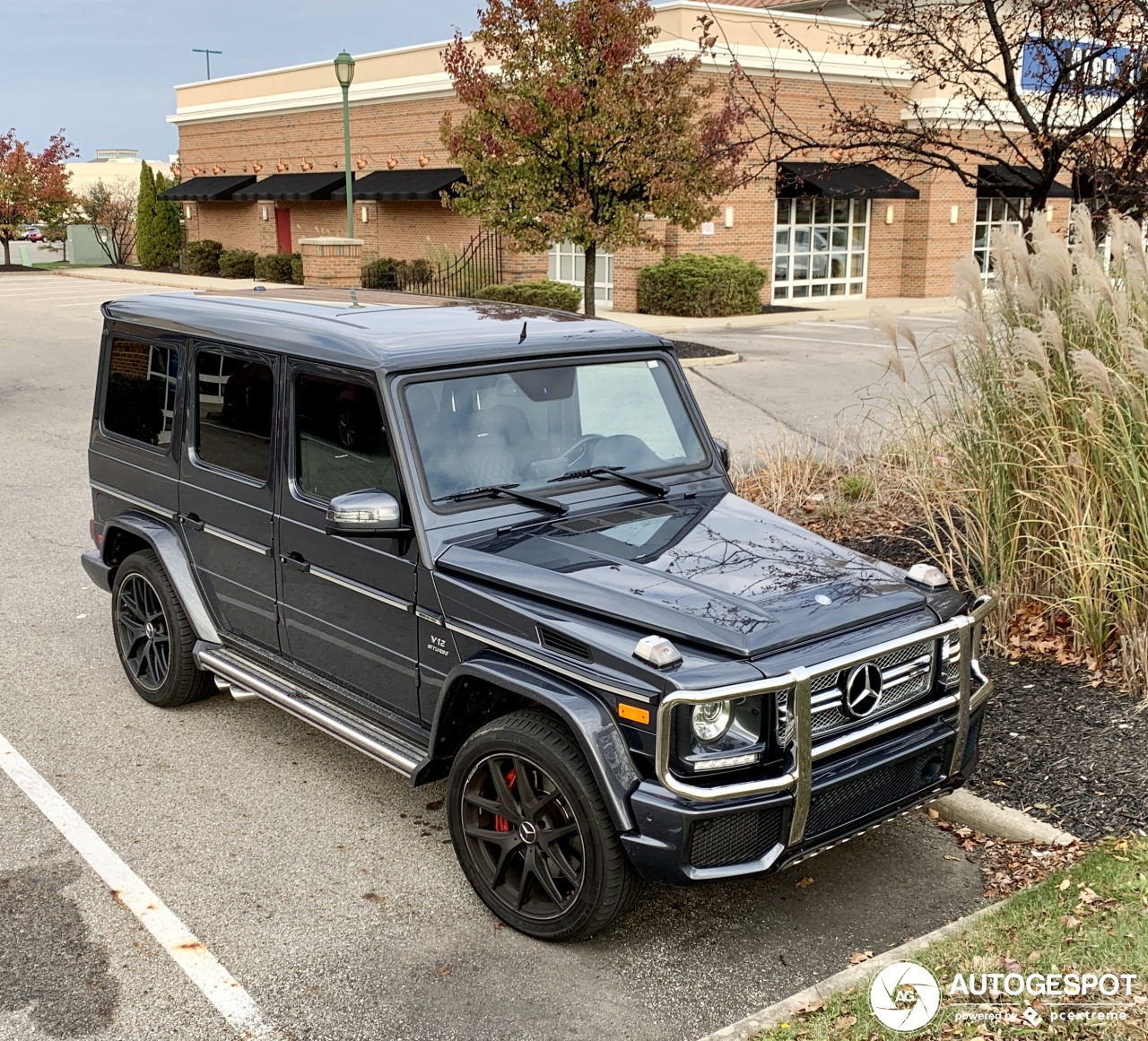 Mercedes-AMG G 65 2016 Edition 463