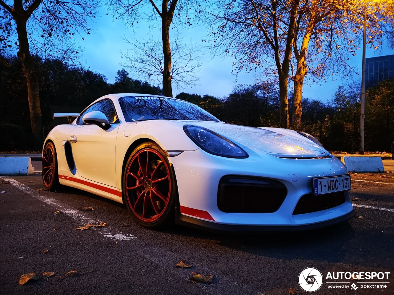 Porsche 981 Cayman GT4