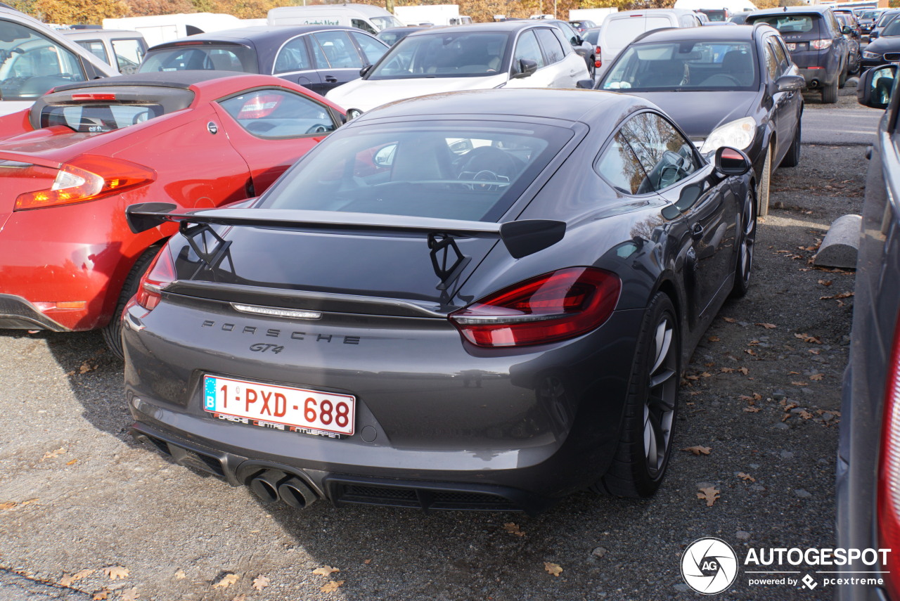 Porsche 981 Cayman GT4