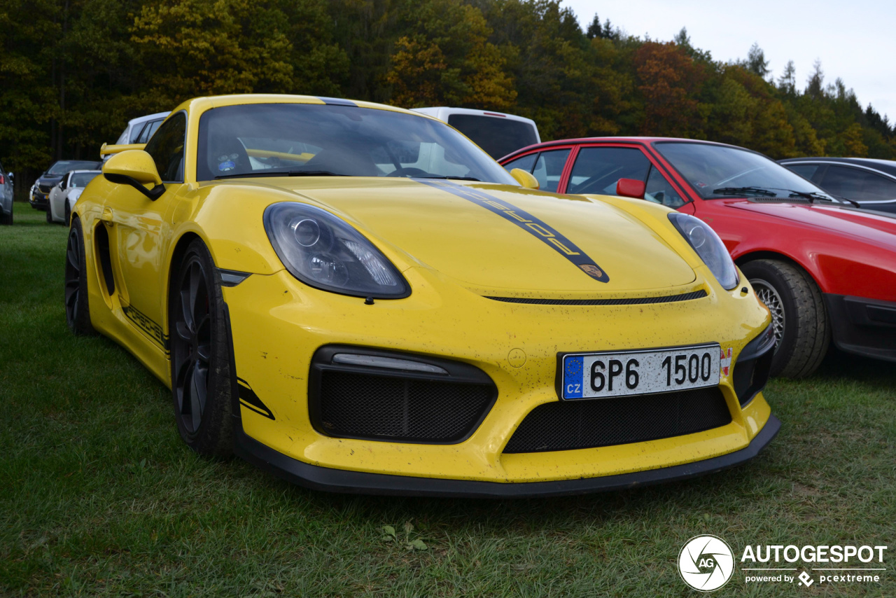 Porsche 981 Cayman GT4