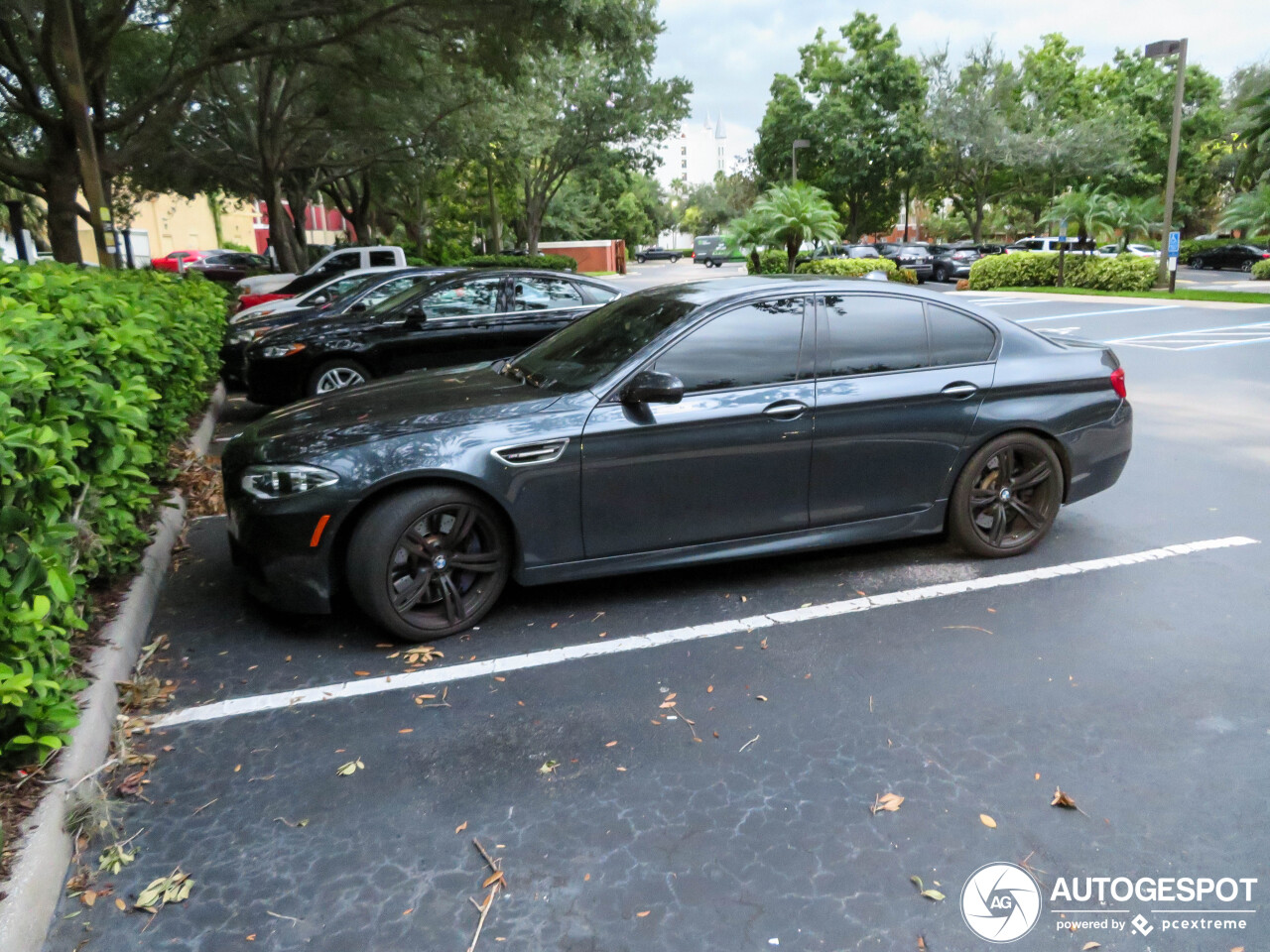 BMW M5 F10 2014