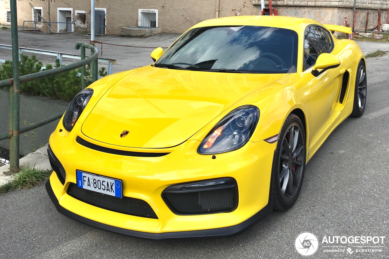 Porsche 981 Cayman GT4