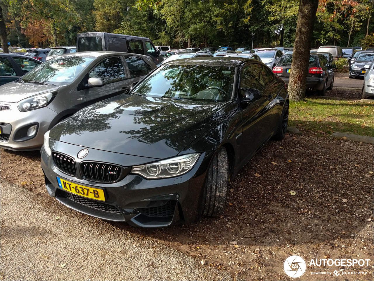 BMW M4 F82 Coupé