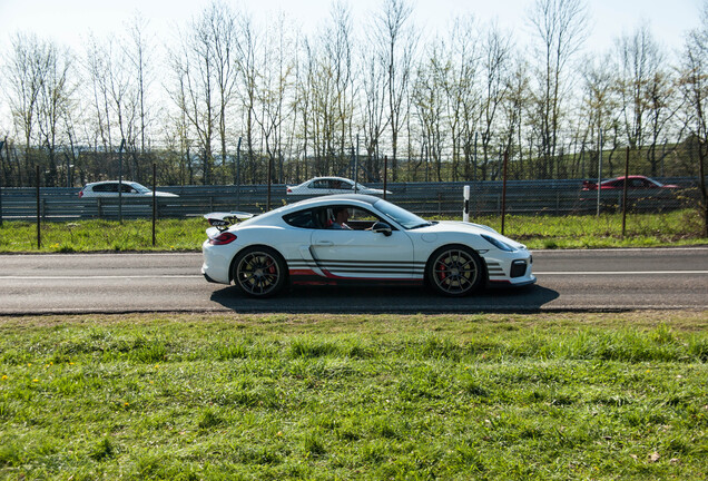 Porsche 981 Cayman GT4