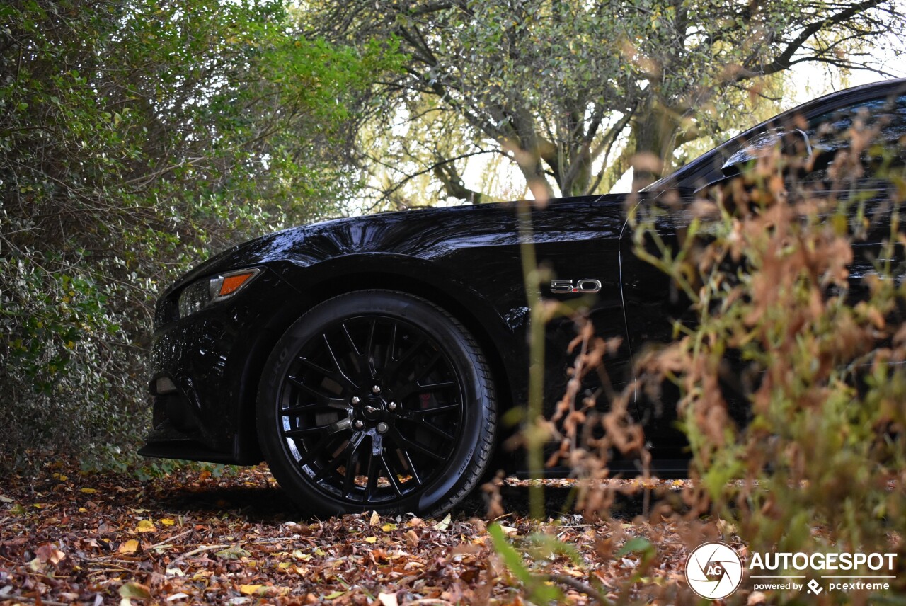 Ford Mustang GT 2015