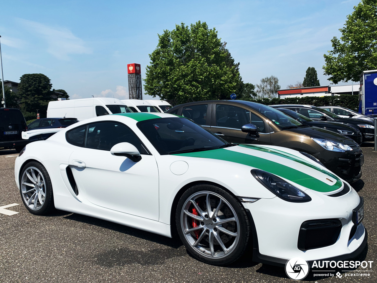 Porsche 981 Cayman GT4