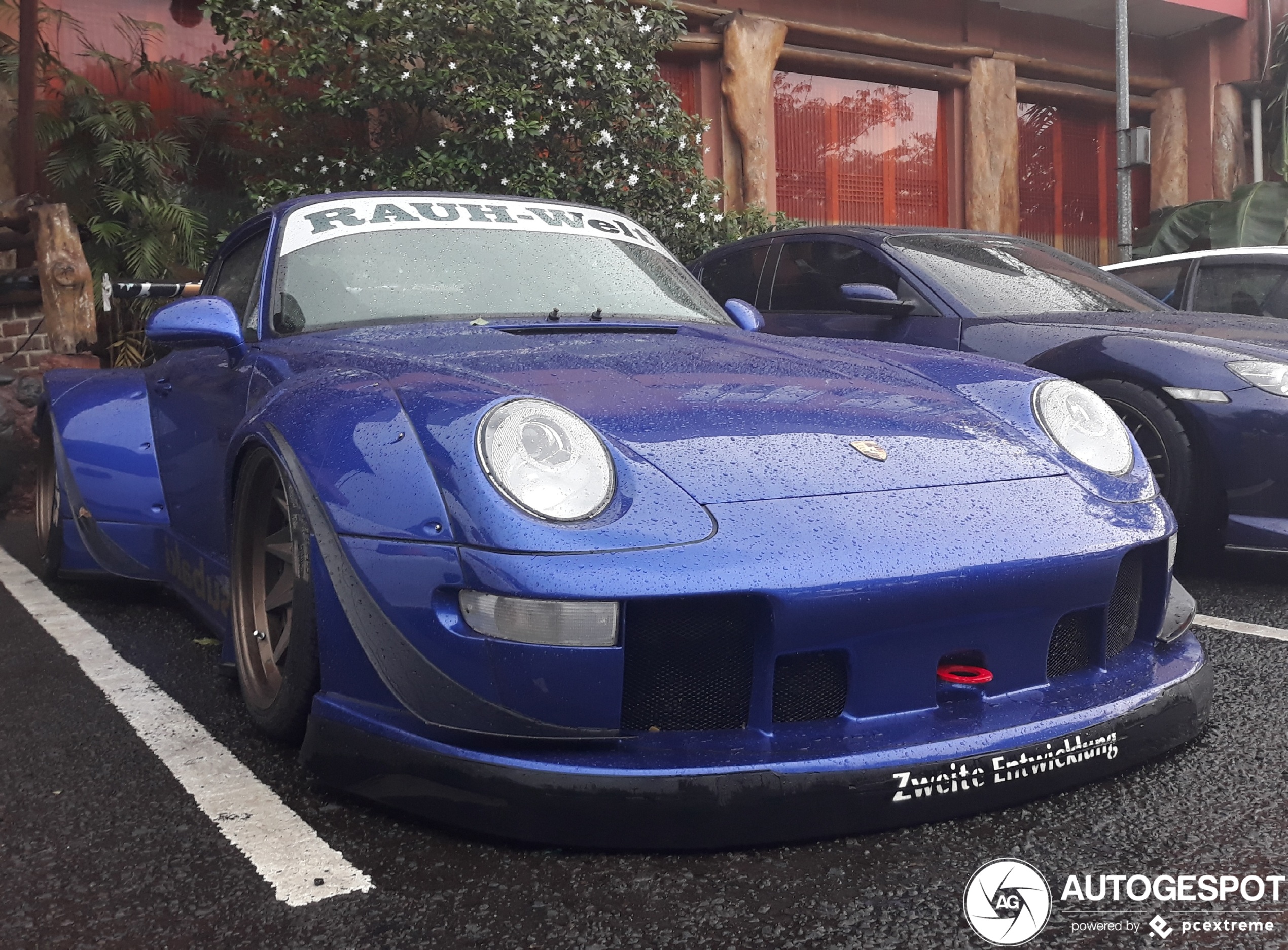 Porsche Rauh-Welt Begriff 993