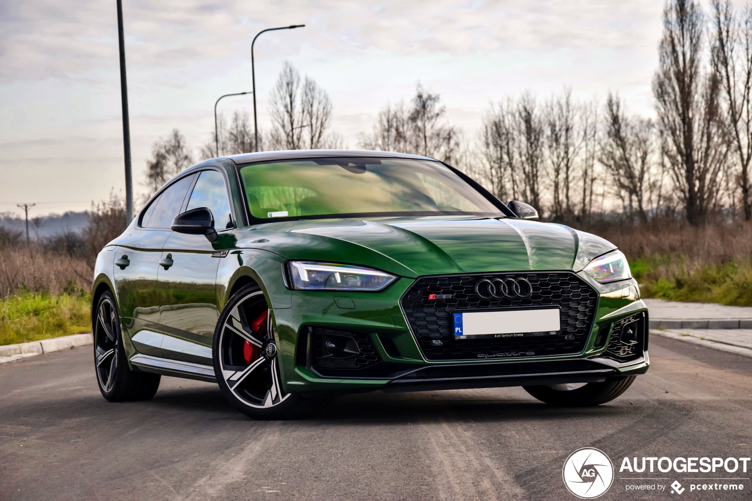 Audi RS5 Sportback B9