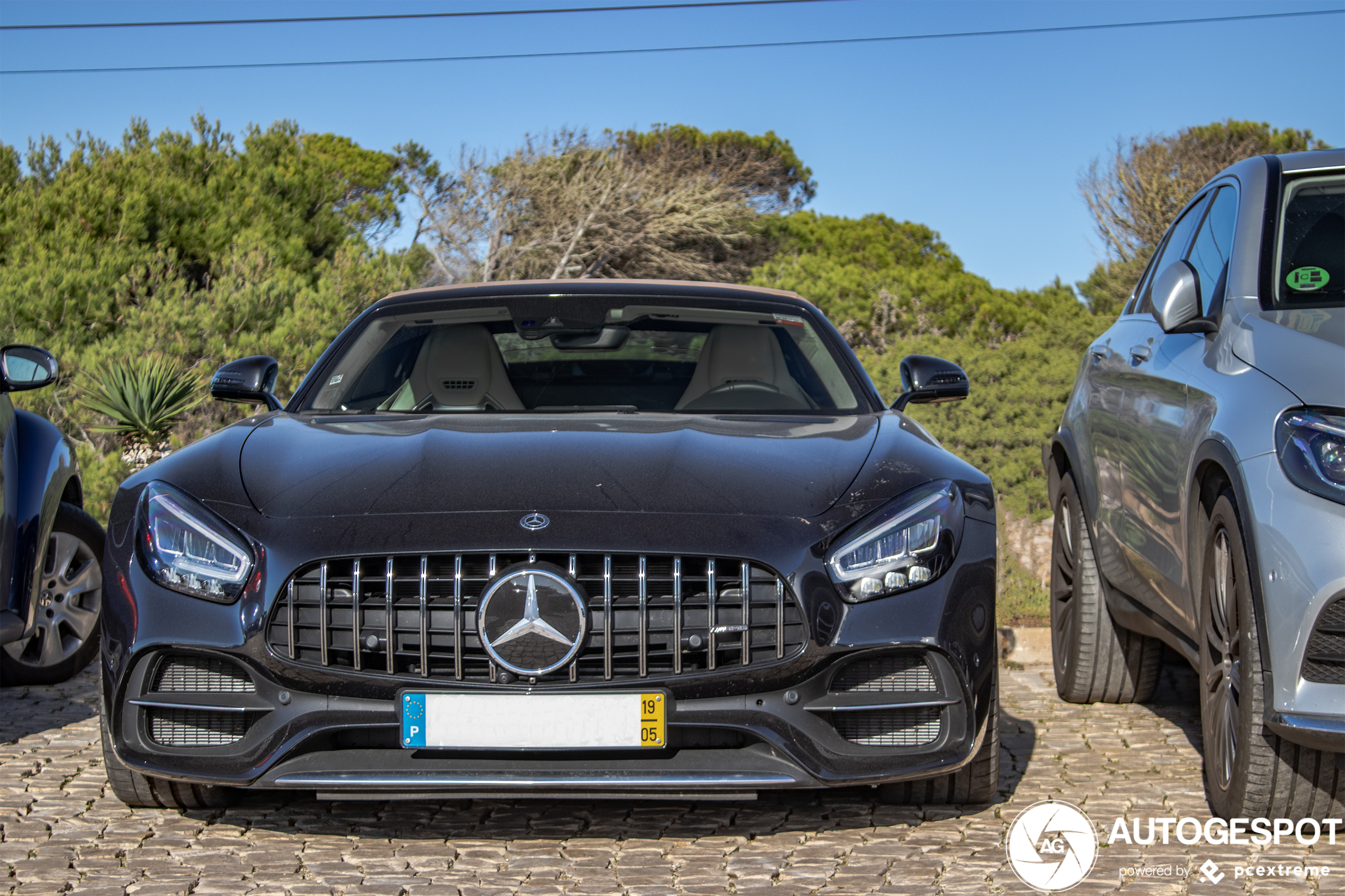 Mercedes-AMG GT C Roadster R190 2019