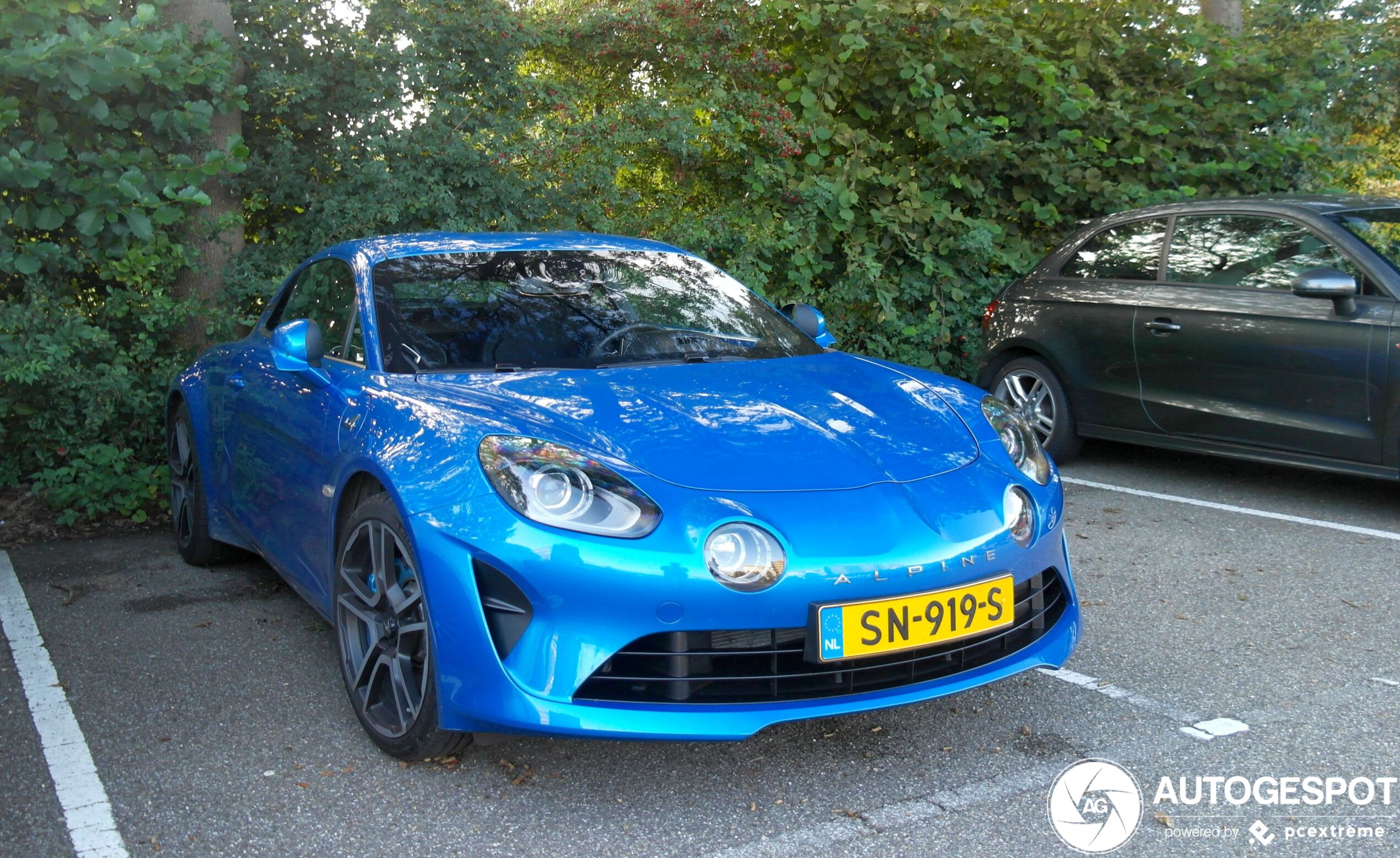 Alpine A110 Première Edition