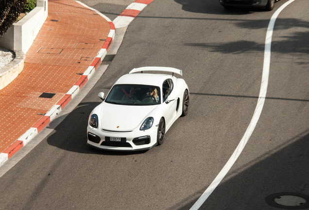 Porsche 981 Cayman GT4