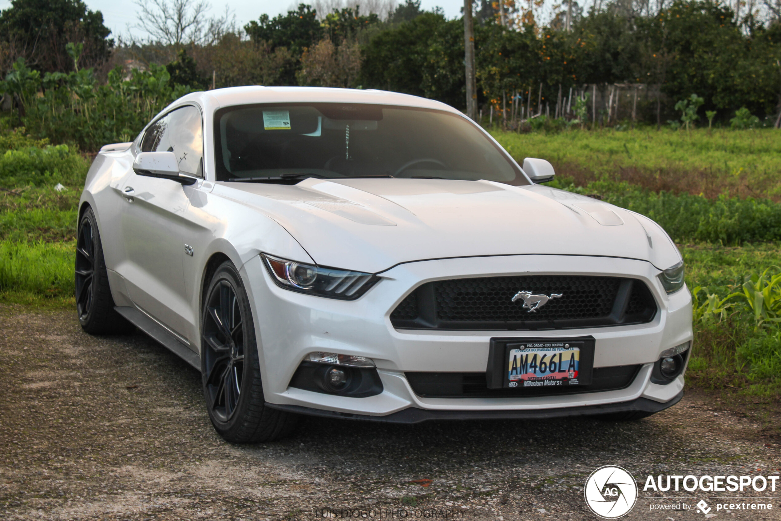 Ford Mustang GT 2015