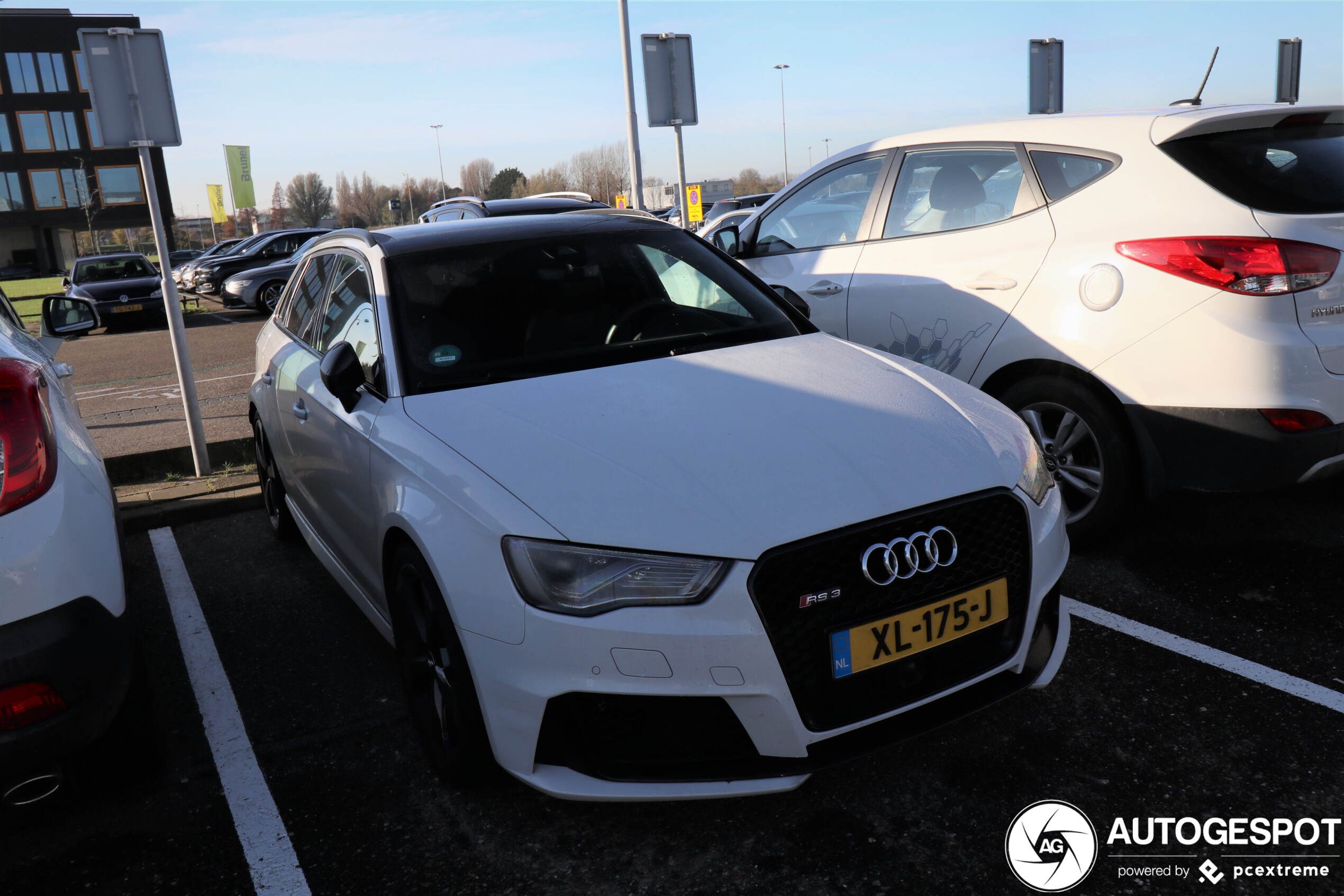 Audi RS3 Sportback 8V