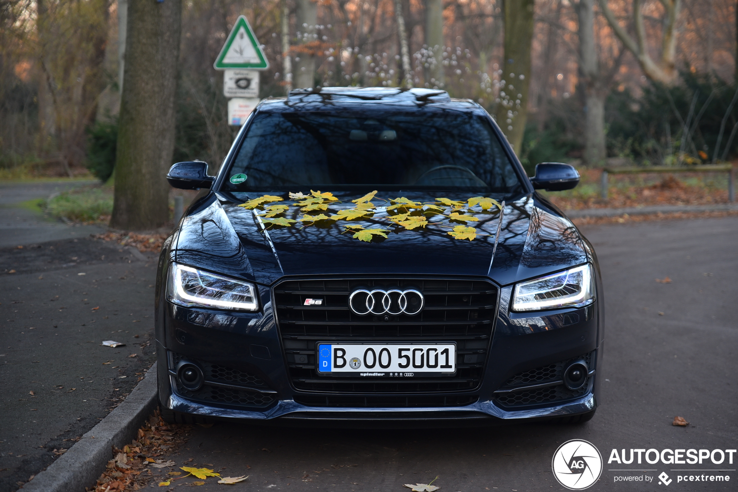 Audi S8 D4 Plus 2016