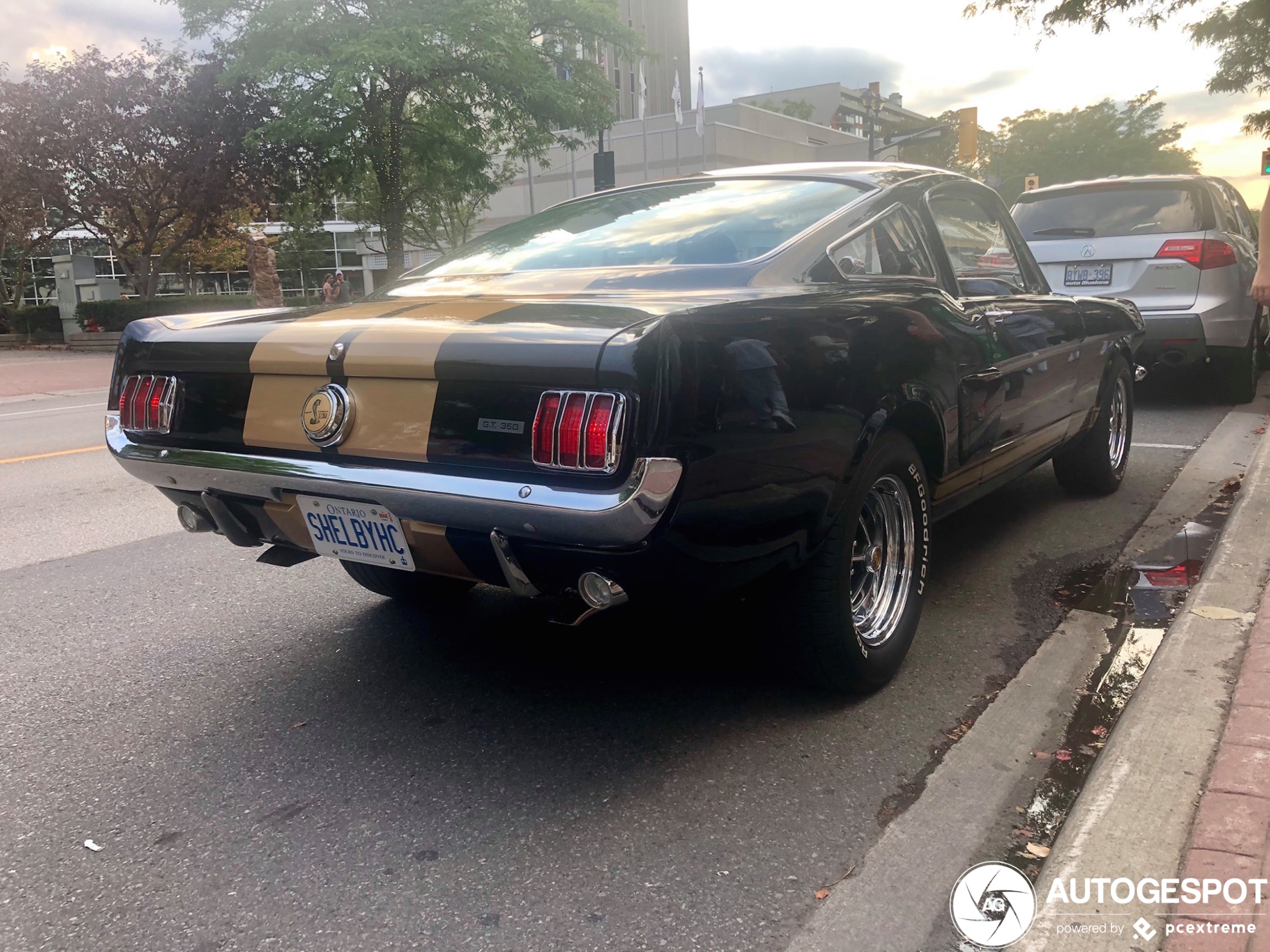 Ford Mustang Shelby G.T. 350H