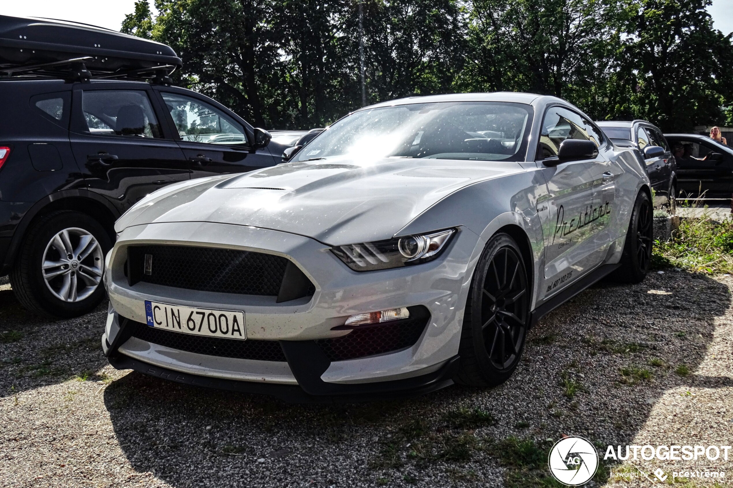 Ford Mustang Shelby GT350 2015