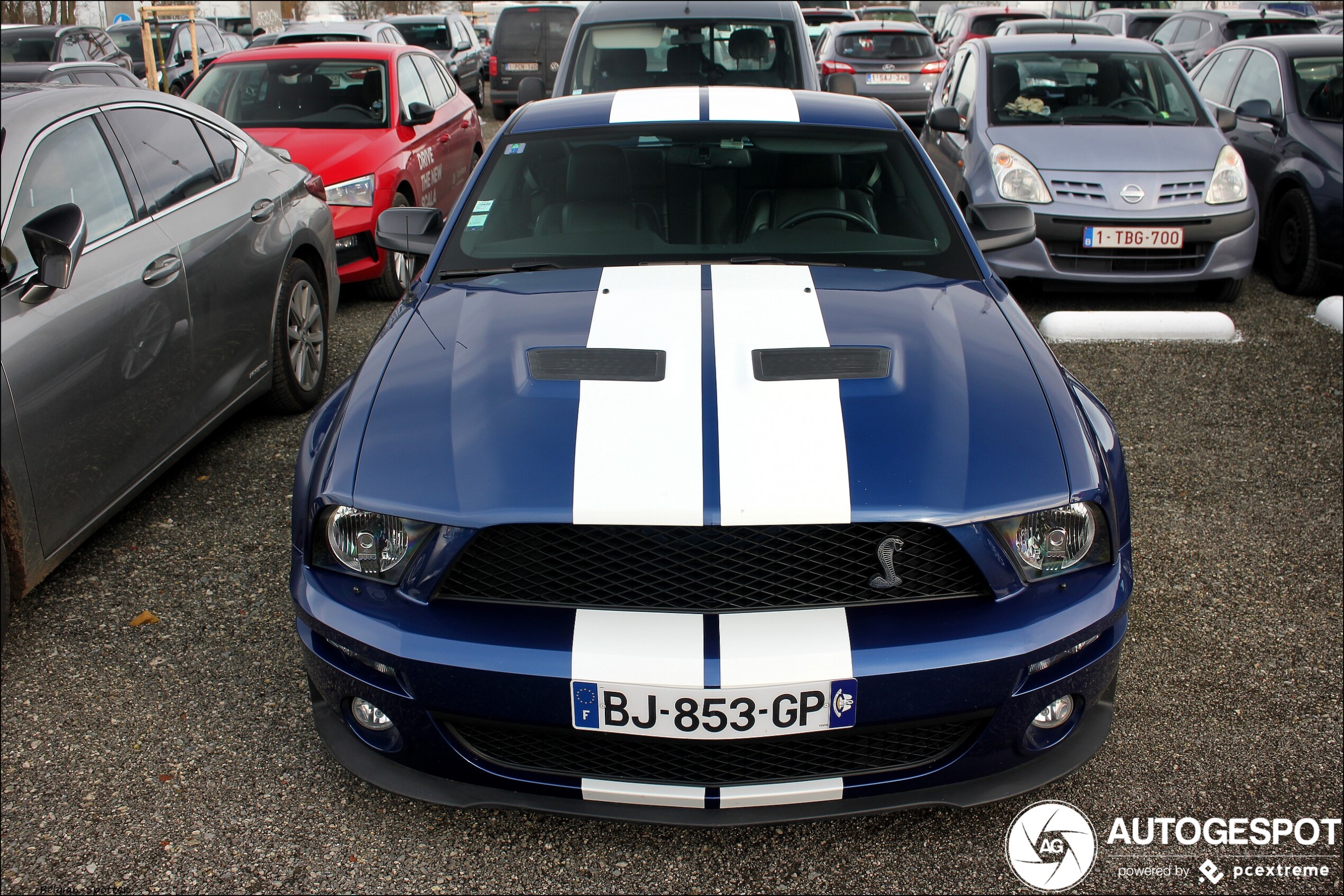 Ford Mustang Shelby GT500